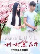 一樹一樹紫花開