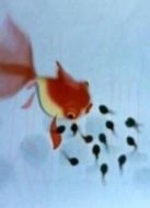 小蝌蚪找媽媽（動(dòng)畫）