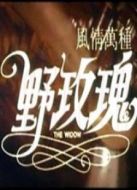 風(fēng)情萬種野玫瑰（微電影）