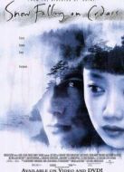 愛在冰雪紛飛時(shí)（美國(guó)）