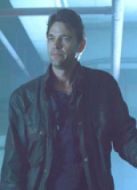 三尖樹時代（上）