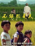 石頭的夏天