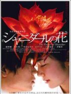 沙尼達(dá)爾之花