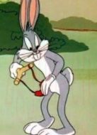 兔寶寶在夏威夷