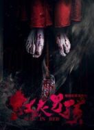 陰陽(yáng)實(shí)錄之紅衣男孩