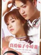 真愛騙子小嬌妻