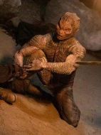 五龍鎮(zhèn)棺傳