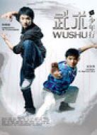 武術(shù)之少年行