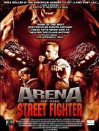 街霸競(jìng)技場(chǎng)