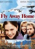 伴你高飛（美國(guó)）