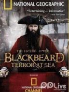 黑胡船長(zhǎng) 下