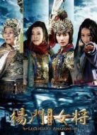 楊門女將之軍令如山