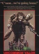 長(zhǎng)驅(qū)直入