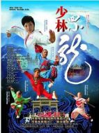 電影少林四小龍海報