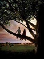 怦然心動(dòng)（美國(guó)）