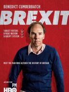 脫歐：無(wú)理之戰(zhàn)