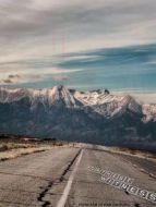 最遙遠(yuǎn)的證人