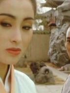 倚天屠龍記之魔教教主 粵語(yǔ)