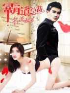 霸道總裁名流秘書