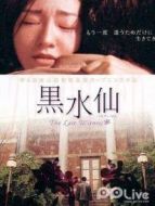 黑水仙 韓國(guó)版