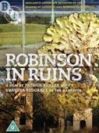 廢墟中的羅賓森