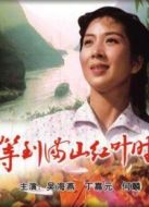 等到滿(mǎn)山紅葉時(shí)