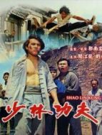 電影少林功夫海報(bào)