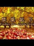 蘋果樹下