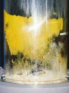 真正粘菌の生活史