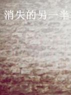 消失的另一半