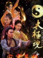 太極魂之寂寞英雄