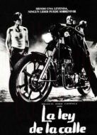 電影斗魚海報(bào)