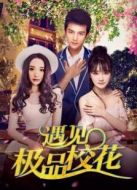 遇見極品校花