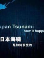 日本海嘯是如何發(fā)生的