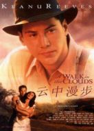 電影云中漫步海報