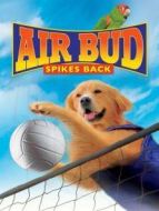 飛狗巴迪5：排球健將（國(guó)語）