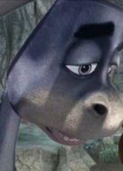 動(dòng)物狂歡節(jié)