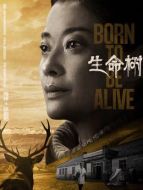 張勤勤（梅婷飾演）