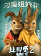 莫普西和弗洛普西