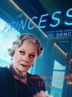 德拉戈米羅夫公主