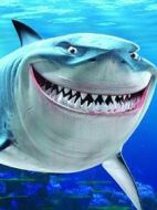 布魯斯（Bruce）