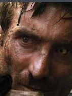 懷可·范·德·梅里