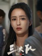 劉文芳（佟麗婭飾演）