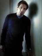 Fox William Mulder（大衛(wèi)&middot;杜楚尼飾演）