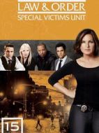 法律與秩序：特殊受害者第十五季劇情介紹(1-24全集)