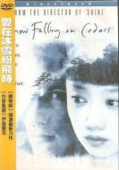 愛在冰雪紛飛時劇情介紹(1-20全集)