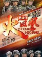 特種兵之火鳳凰