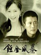 蝕金風(fēng)暴劇情介紹(1-20全集)