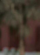 嘉慶君游臺灣劇情介紹(1-40全集)