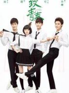 致青春劇情介紹(1-40全集)